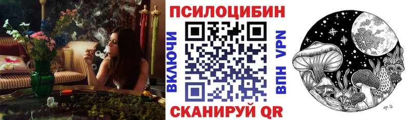 цена   Пересвет  Псилоцибиновые грибы Magic Shrooms 